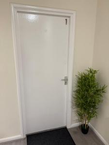 City Centre Uni area PS4 Netflix