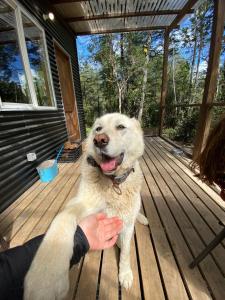 Cabaña container Ensenada