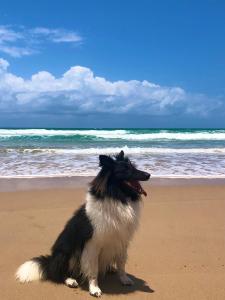 Flat Cupe beach living