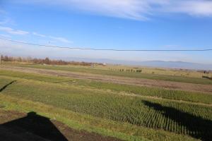 Ezüstfenyő Agroturisztikai Panzió