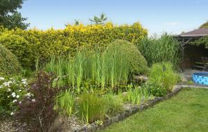 4 Bedroom Cozy Home In Mscice