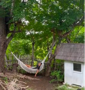 Sunrise Temple villa