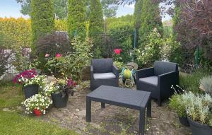 Pet Friendly Home In Bedzin With Wifi