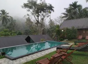 Sinharaja Forest Sanctuary - Pitabeddera