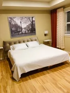 Amazon Park Studio - 克雷斯韦尔