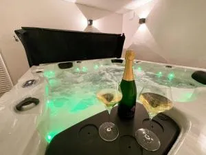 Gîte avec SPA et sauna dans le Val de Loire - FR-1-381-607 - Saint-Laurent-en-Gâtines