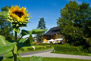 Landgasthof zum Betenmacher