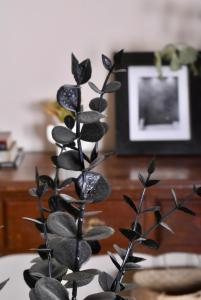 CASA EN LA MEjOR UBICACION, CONSULADO