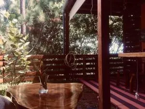 Suite au milieu des arbres - Paea