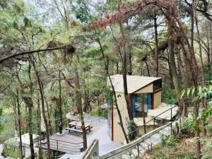 Tổ Chim House - Ấp Ðông Ðô