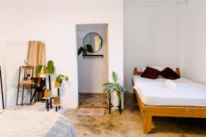 Ozen Freediving Hostel