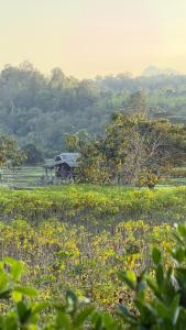 The Little Earth Farm View