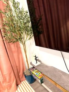2bed Lagos House Backyard Suites Downtown
