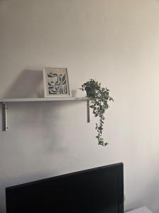 City Center Park Apartment