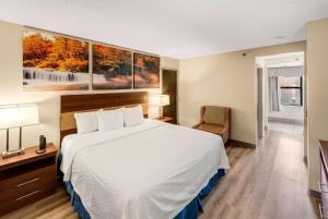 King Room - Non-Smoking room in Days Inn by Wyndham Raleigh-Airport-Research Triangle Park