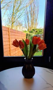 Guesthouse Purmerend near Amsterdam Volendam