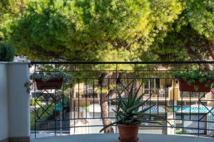 Ginevra 2 - Pineto Vacanza