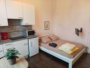 Appartements Studio Grand hotel Chatel Guyon : Appartement 1 Chambre