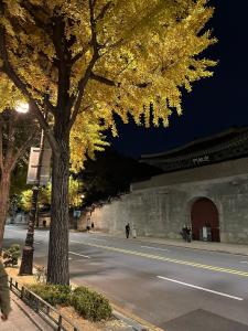 Calming Place Seoul #3