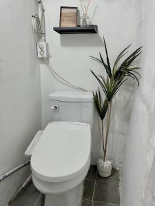 Calming Place Seoul #3