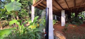 Maison éco-lodge larbre du voyageur