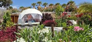 Koepel in Arico Teguedite - La Cisnera