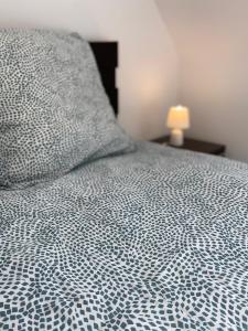 Maisons de vacances maison 5 pers Le Penty d -Argol Crozon animaux acceptes : photos des chambres