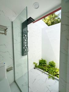 Paradise Palms - Guest House