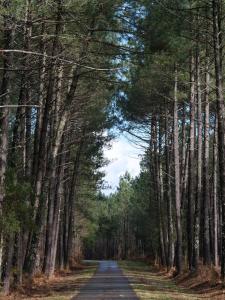 Appartements Appart Cosy Green, Ocean, Golf, Piscine, Wifi : photos des chambres