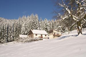 Maisons de vacances Blanche-Roche, gite en lisiere de foret : photos des chambres