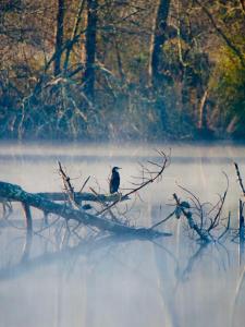 Appartements Appart Cosy Green, Ocean, Golf, Piscine, Wifi : photos des chambres