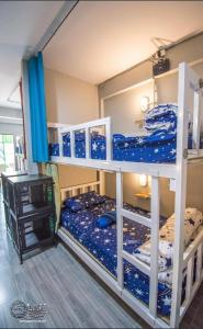 Lazy Gibbon 1 Chiang Mai - Tha Phae Gate