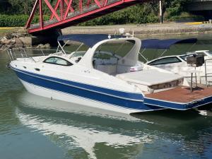 Embarcação Arlequina