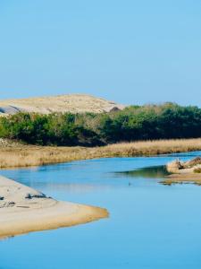 Appartements Appart Cosy Green, Ocean, Golf, Piscine, Wifi : photos des chambres