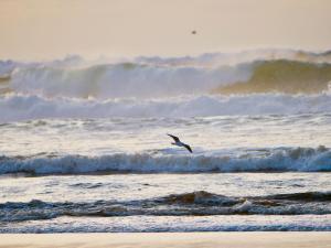 Appartements Appart Cosy Green, Ocean, Golf, Piscine, Wifi : photos des chambres