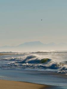 Appartements Appart Cosy Green, Ocean, Golf, Piscine, Wifi : photos des chambres