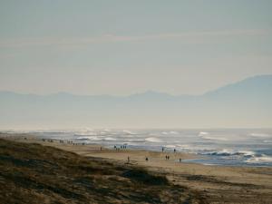 Appartements Appart Cosy Green, Ocean, Golf, Piscine, Wifi : photos des chambres