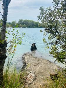 Maisons de vacances Chez Georges - Maison 2 - Les Gites du Verdon : photos des chambres