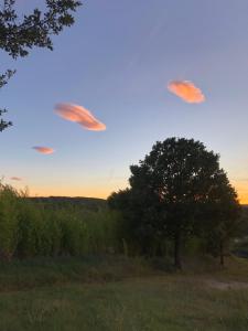 Maisons de vacances Chez Georges - Maison 2 - Les Gites du Verdon : photos des chambres
