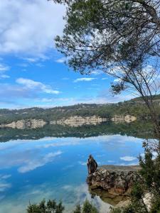 Maisons de vacances Chez Georges - Maison 2 - Les Gites du Verdon : photos des chambres