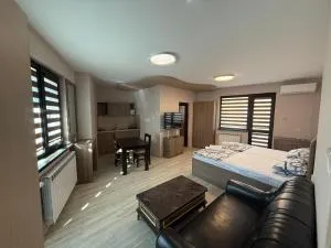 Цар Калоян стаи под наем - Rupkite