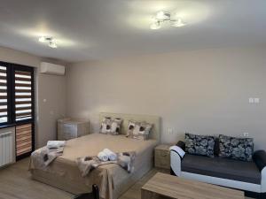 Цар Калоян стаи под наем