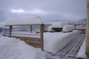 Maisons de vacances Blanche-Roche, gite en lisiere de foret : photos des chambres