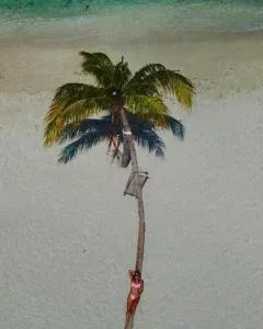 Adroit Sunset View - Felidhu-Atoll