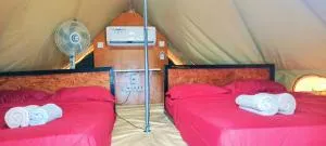 Tok Mat Village & Adventure Park - Gopeng