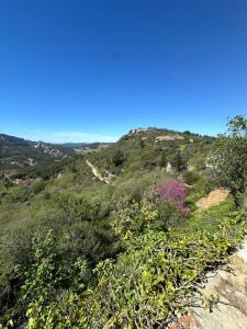Sejours chez l'habitant Sejour de charme a Evenos -Provence : photos des chambres