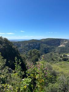 Sejours chez l'habitant Sejour de charme a Evenos -Provence : photos des chambres