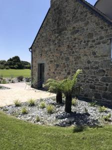 Maisons de vacances Le petit abri des pins : photos des chambres