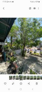 Baan Oui guest house - Nai Harn