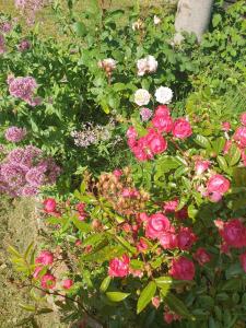 Maisons de vacances Maison de charme avec Jardin-Calme- Fibre : photos des chambres